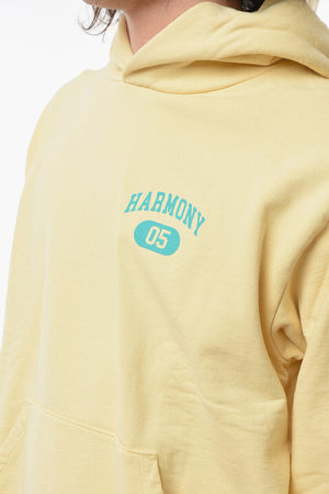 Sweatshirt aus aufgerauter Baumwolle mit Kapuze und bedrucktem Logo