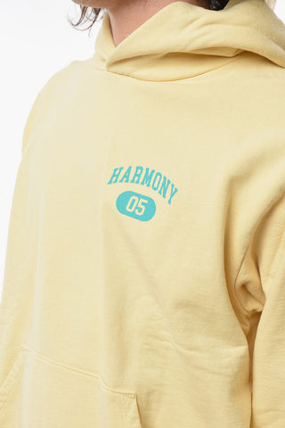 Felpa in Cotone Garzato con Cappuccio e Logo Stampato