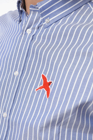 Awning Striped ROUGE BEE BIRD Button-Down Collar Shirt