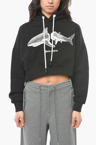 Ivory Cotton Hoodie Sweatshirt with SHARK Application