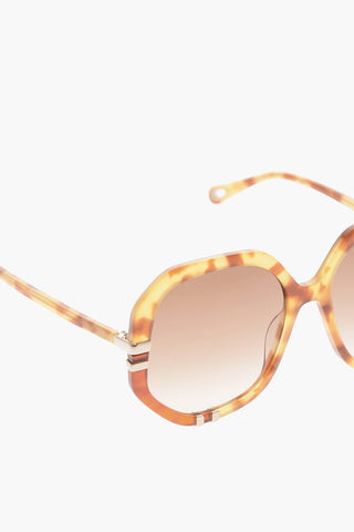 Sunglasses HAVANA with Turtle Frame