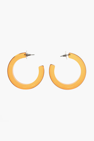 Lucite Hoop Earrings