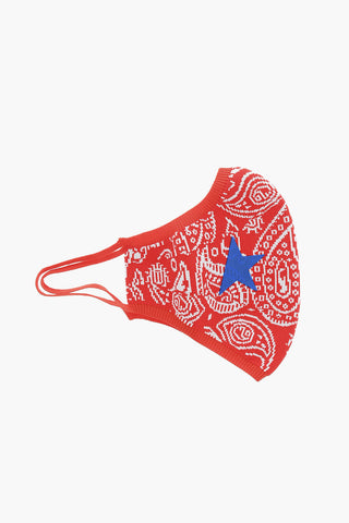 Paisley Motif Face Mask