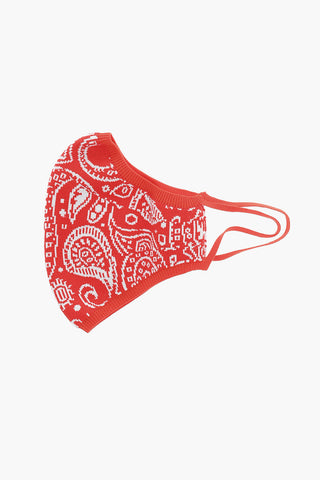 Paisley Motif Face Mask