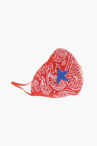 Paisley Motif Face Mask