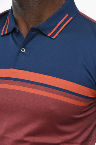 Polo Shirt with Striped Pattern and Embroidered Emblem