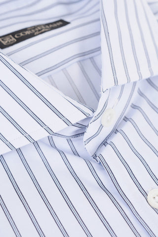 Standard Collar Cotton Shirt with Balanced Stripe Motif