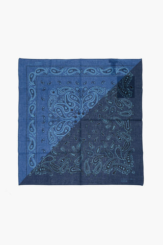 Paisley Patterned Cotton Foulard