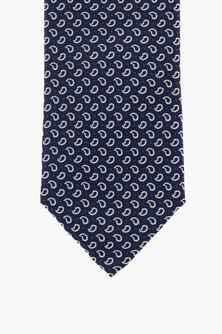Paisley Motif Silk Tie