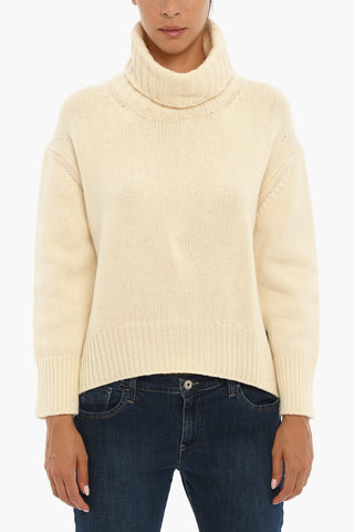Solid Color Wool Turtleneck Sweater