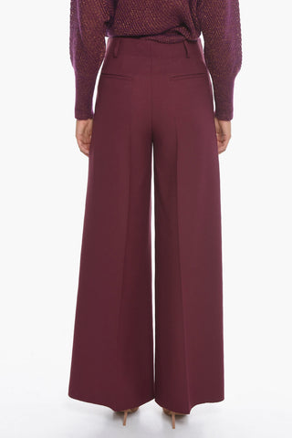 Pantaloni a Palazzo con Pince Frontale