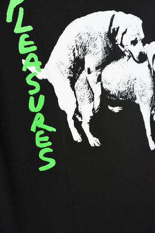 Cotton Crew-Neck T-shirt with Contrasting Print
