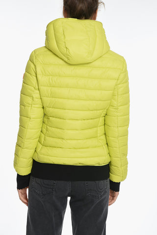 Padded DAISY Jacket with Hood