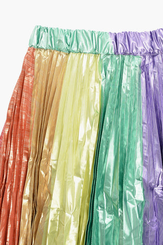 Multicolor Pleatd Flared Skirt