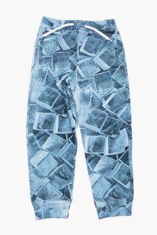 EMPORIO EARCTIC Printed Fleeced Cotton Joggers