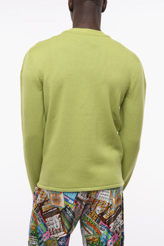 Merino Wool Crew-neck Pullover