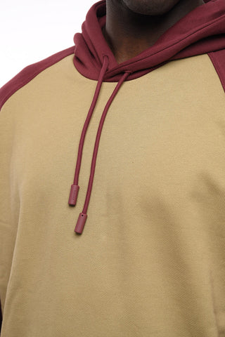 Brushed Cotton Hoodie with Shirt Detail