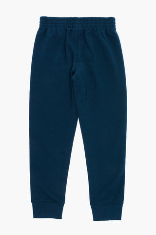 AIR JORDAN Fleeced-Cotton Blend Joggers and Hoodie Set