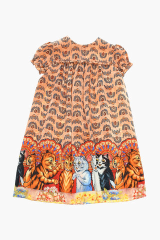 Silk Printed Dress