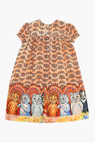 Silk Printed Dress