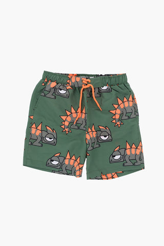 Printed Swim Shorts