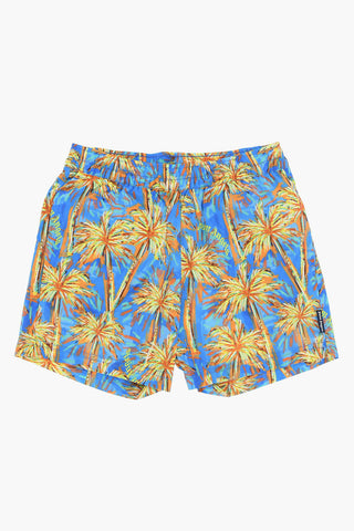 Costume da Bagno Boxer a Fantasia