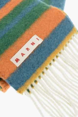 Multicolor Striped Scarf with Fringes