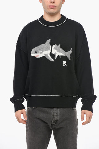 Crew Neck SHARK Virgin Wool Pullover