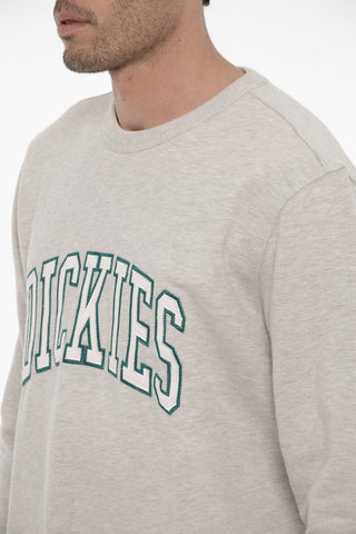 Brushed Cotton Crew-neck Sweatshirt with Maxi Logo