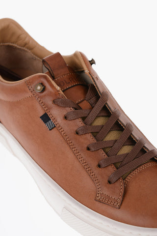 Leather HIKER ALL AROUND Low-Top Sneakers with Suede Detail