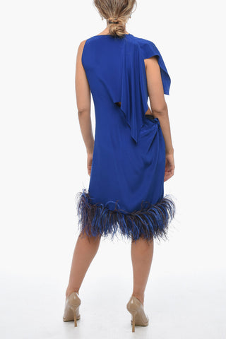 Asymmetric PARIS Silk Dress with Ostrich Feather Hem