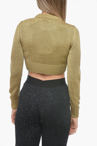Crew Neck Crop Lurex Sweater with Ton sur Ton Embroideries