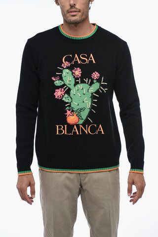 Cotton CACTUS Embroidered Sweater