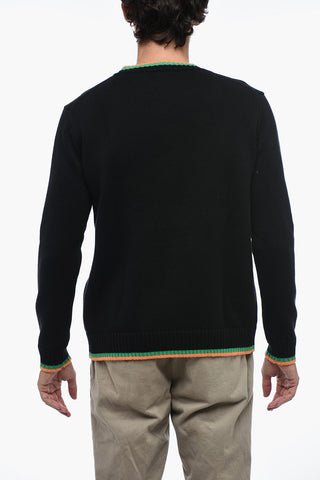 Cotton CACTUS Embroidered Sweater
