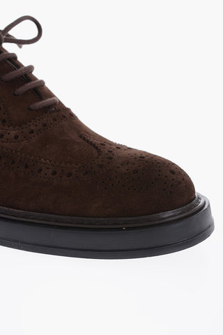 Suede Leather Oxford Shoes With Brogues Details