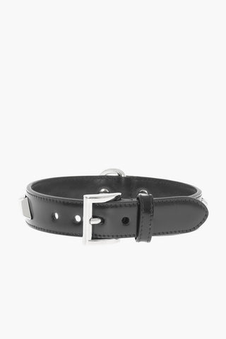 Leather Collar with Silver-Tone Studs