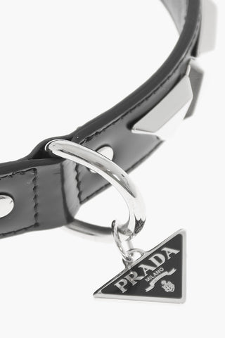 Leather Collar with Silver-Tone Studs
