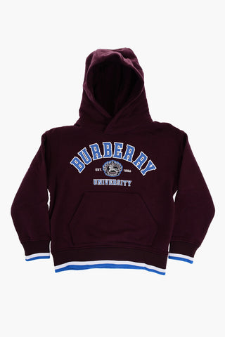 Felpa Hoodie In Cotone con Tasca a toppa