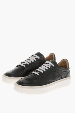 Leather SASSARI Low Top Sneakers with Contrasting Details