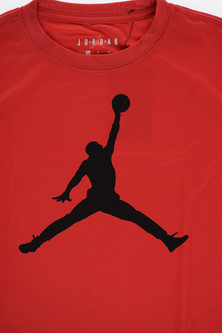 AIR JORDAN Dri-Fit T-Shirt mit Rundhalsausschnitt und Bedrucktem Logo