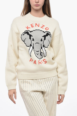 Crew Neck PIXEL Wool Blend Pullover