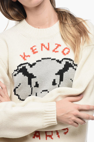 Crew Neck PIXEL Wool Blend Pullover