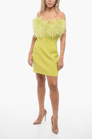 Bandeau Mini Dress with Feathers Application
