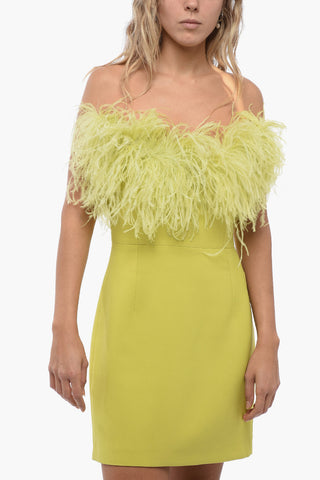 Bandeau Mini Dress with Feathers Application