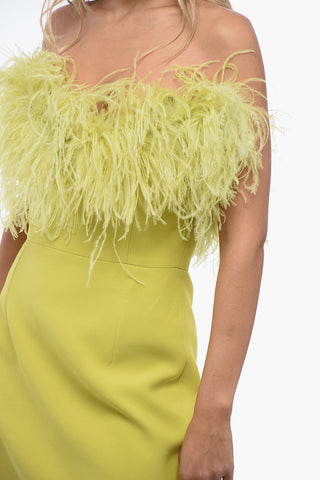 Bandeau Mini Dress with Feathers Application