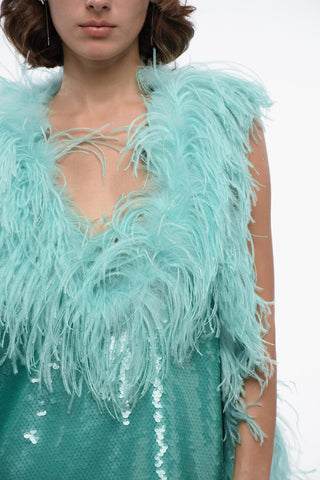 Sequined Mini Dress with Feathers Application