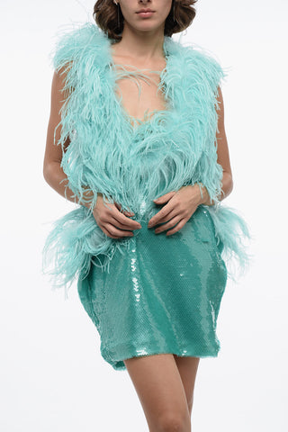 Sequined Mini Dress with Feathers Application