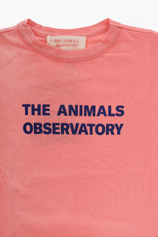 Printed Cotton Crew-Neck T-shirt