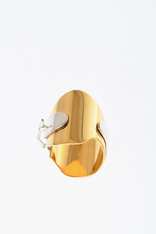 Two-Tone Brass Earrings with Ring Design