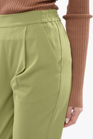 Solid Color Single-Pleat ALEIDA Pants